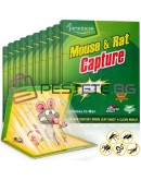 Капан с лепило за мишки и плъхове среден и голям